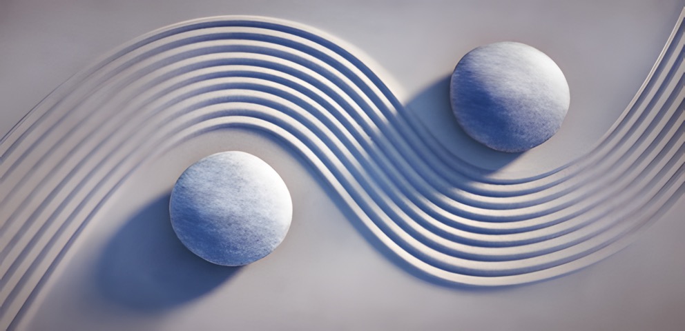 砂の上の石